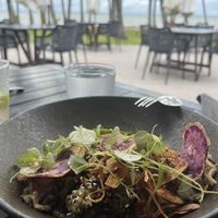   at Nu Nu in Palm Cove