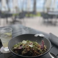   at Nu Nu in Palm Cove