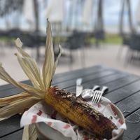 Amazing   at Nu Nu in Palm Cove