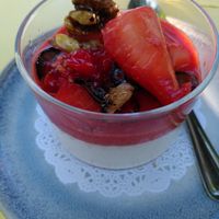 Pannacota at Gare du Nord in Rotterdam