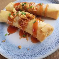 Starter at Gare du Nord in Rotterdam