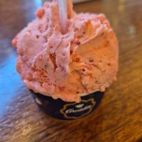 Vegan strawberry sorbet at Arcádia - Avenida da Igreja in Lisboa