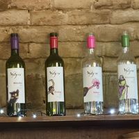 Local wine options available at Kozmosz Vegan Etterem in Budapest
