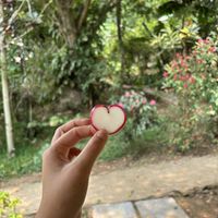   at Mayachik in San Juan La Laguna