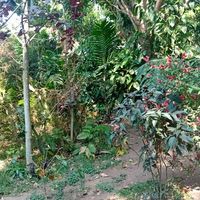  at Mayachik in San Juan La Laguna