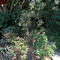  at Mayachik in San Juan La Laguna