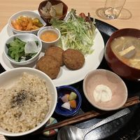 Falafel set  at Komenoko in Tokyo