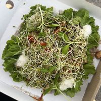 pizzaaaa  at The Green House in Almaty