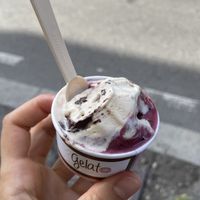 Cremino and grapes  at Gelateria Dolomiti in Pavia