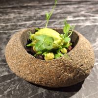 Pea sorbet with crumbled chocolate cake and chocolate jelly. Was unsure about this at first since I don't like peas, but it was really exciting, and really smooth. Jelly was cool. at Vaust Bar & Restaurant in Berlin