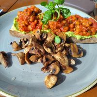  at The Harbour Lights in Scotland