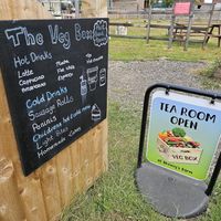  at Vegan Box @ Nunnys Farm in Grimsby