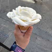 Lemon Sicily sorbet  at Amorino Gelato - Pisa in Pisa
