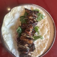 Mushroom shawarma   at lara  in Vienna
