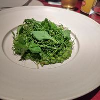 Spinat-Risotto at lara  in Vienna