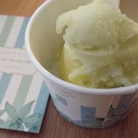 Citrus Brasilis (base de limão) at Sorveteria Granado Verão in Rio De Janeiro