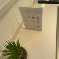  at Fré | Heladería Artesanal Libanesa en Madrid in Comunidad De Madrid