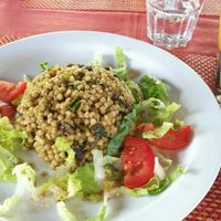 Amazing couscous! 5 stars..  at GoGreen in Kralendijk
