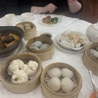 Shrimp dumplings, green veggie dumplings, bbq pork buns, sticky rice, rice noodle rolls, meat dumplings and tofu and veg hot pot at Graceful Vegetarian in Markham