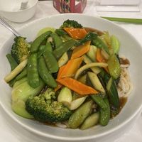 Udon noodles w/ vegetables  at Graceful Vegetarian in Markham
