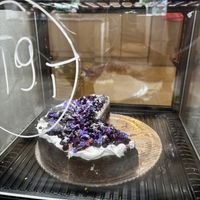 Vegan chocolate cheesecakee  at Kostki in Warsaw