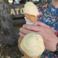 Vanilla ice cream  at Joe's Gelato in Uppsala