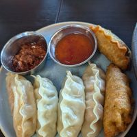 Momo at Veggiesaurus in The Hague