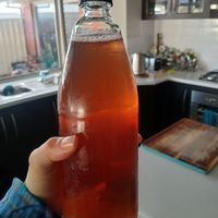 Raspberry kombucha at Gut Feeling Fermentation  in Port Elliot
