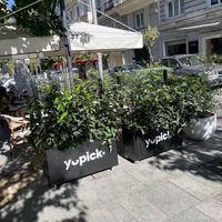  at Yupick in Comunidad De Madrid