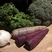 Purple carrots, kale, brocolli and garlic at The Organic Stores - Brooklyn Farm in Mold