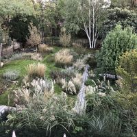   at Temple Lodge Club in West London