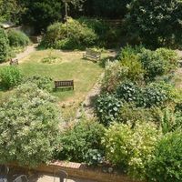 A view of the garden at Temple Lodge Club in West London
