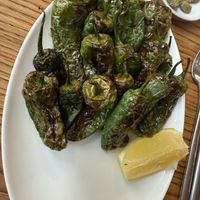 Padron peppers   at Hazéls  in St Albans