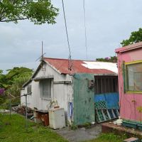  at Hiro Coffee Farm in Okinawa