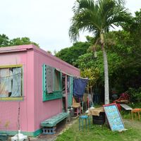  at Hiro Coffee Farm in Okinawa