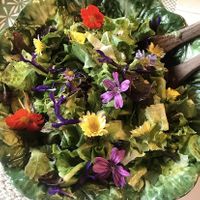 Frischer Salat mit Blüten aus dem Garten   at Krauterpension am Wald in Hanau