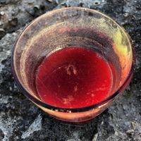 Beet smoothie at Hotel Korinjak in Veli Iz