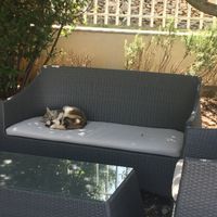 Several shady areas to sit and contemplate, or just have a snooze. at Pension Cherry Blossom in Liznjan