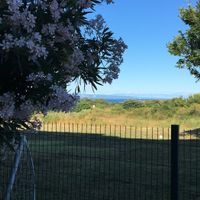 Beautiful views. at Pension Cherry Blossom in Liznjan