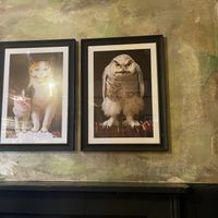   at Owl & Pussycat in London