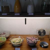Breakfast: several smoothies, almond milk, (raw) porridges  at Naturkost-Hotel Harz in Bad Grund