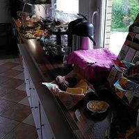 The whole breakfast buffet with bread, wide variety of spreads, fruit, veggies, warm and cold drinks, smoothies, almond milk, porridges, warm dishes like lentil dahl and pancakes at Naturkost-Hotel Harz in Bad Grund