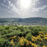   at Hotel Nicolay in Zeltingen-rachtig