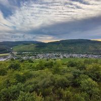  at Hotel Nicolay in Zeltingen-rachtig