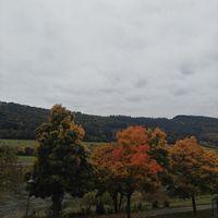 Uitzicht vanuit de hotelkamer at Hotel Nicolay in Zeltingen-rachtig