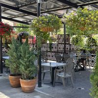 Covered patio   at Nayarit Restaurant in Durango