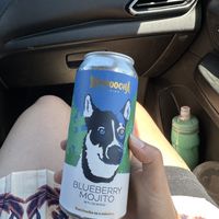 Canned booch   at Kompoocha - Non-alcoholic Kombucha  in Temecula