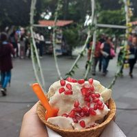 La nieve de nogada es una delicia 🫶🏻❤️ at Helados Macias in Puebla