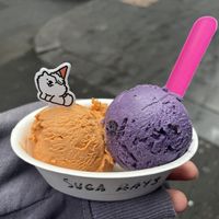   at Suga Rays in Melbourne