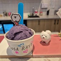 Ube single scoop $6.80: great creamy texture, noticeable taste of ube initially, but then not much at Suga Rays in Melbourne